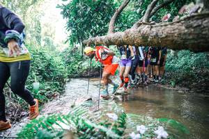 BIB: 
                            <button type="button" onclick="openModal(25468179)" class="btn btn-primary btn-sm float-right btn-popup" data-toggle="modal" data-target=".modal-high-quality">
                        <i class="fas fa-shopping-cart"></i> Add to Cart
                    </button>
                                            <button type="button" onclick="isThisMe(25468179, true)" class="btn btn-success btn-sm float-right btn-popup btn-isme hidden" data-toggle="tooltip" data-placement="bottom" title="นี่คือรูปของคุณใช่ไหม คลิกที่นี่เพื่อเอาเข้าอัลบั้ม">
                        <i class="fas fa-plus"></i> Add to album
                    </button>
                    <button type="button" onclick="isThisMe(25468179, false)" class="btn btn-warning btn-sm float-right btn-popup btn-isnotme hidden">
                        <i class="fas fa-ban"></i> Remove from album
                    </button>